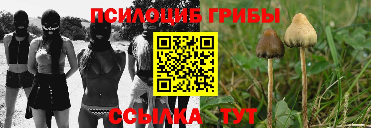 Галлюциногенные грибы прущие грибы  наркота  Псилоцибиновые грибы GOLDEN TEACHER  Люберцы  Вход с VPN 